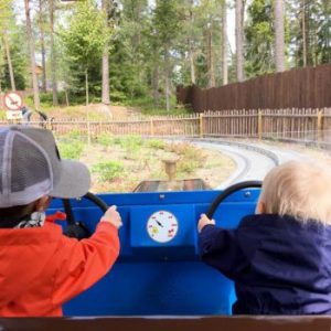 Thumbnail for 104972