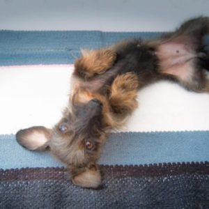 TIME TO SAY GOODBYE Thumbnail for 105182