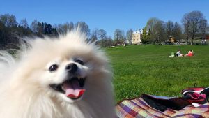 Thumbnail for 105912