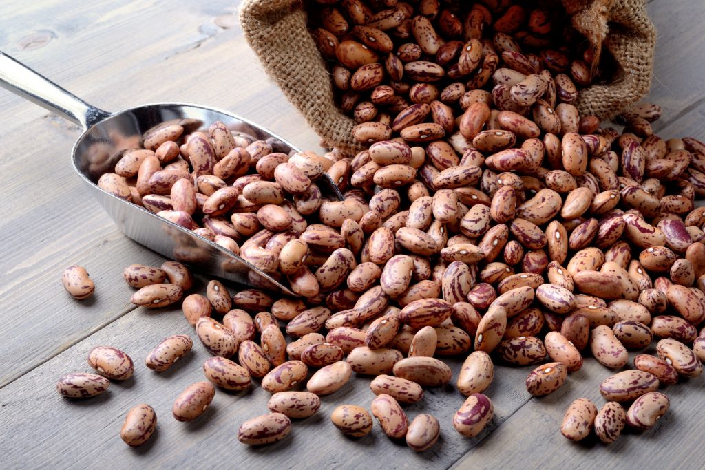 Pinto beans - fagioli borlotti