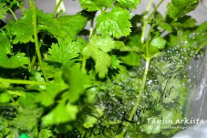 Thumbnail for 106423