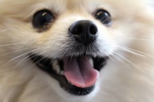 Thumbnail for 107131