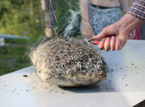 Thumbnail for 107545