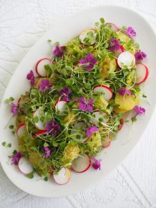 Thumbnail for 107708