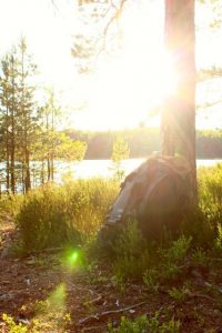 Thumbnail for 149152