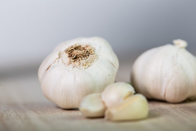 garlic