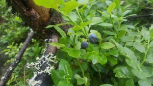 Thumbnail for 108127