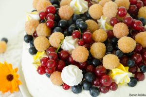 Thumbnail for 109029