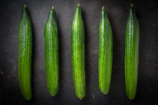 Green cucumbers on dark background