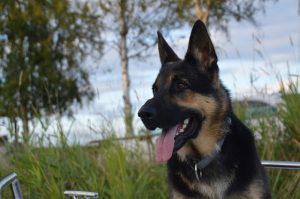 Thumbnail for 109489