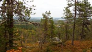 Thumbnail for 111632