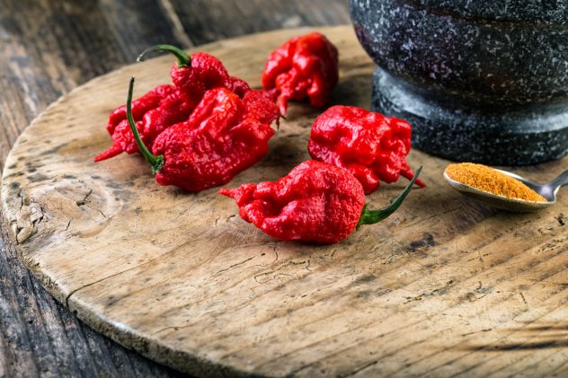 Carolina Reaper