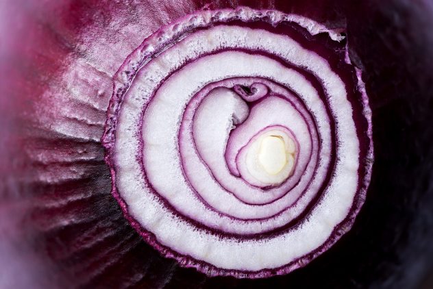 Red onion closeup texture rings