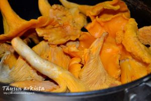 Thumbnail for 112265