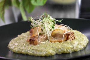 Rucolalla ja pestolla maustettua helmirisottoa ja retikkaa Thumbnail for 113044