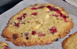 Thumbnail for 113494