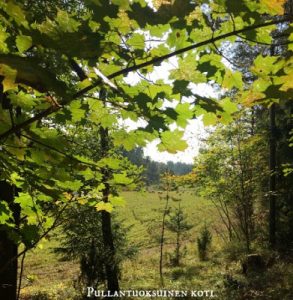 Thumbnail for 113568