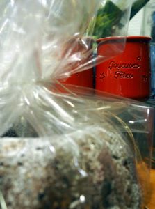 Thumbnail for 116808