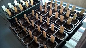 Thumbnail for 117486