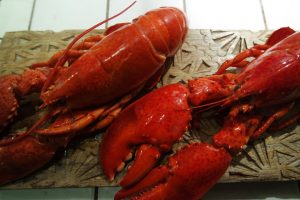 Thumbnail for 119551