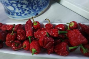 Thumbnail for 119566