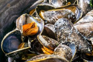 Mussel with white wine sauce on table