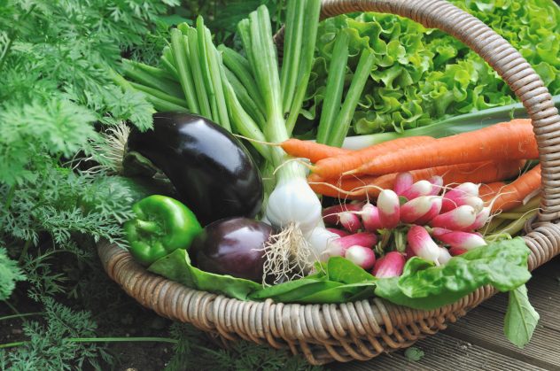 lgumes frais dans panier en osier dnas un potager