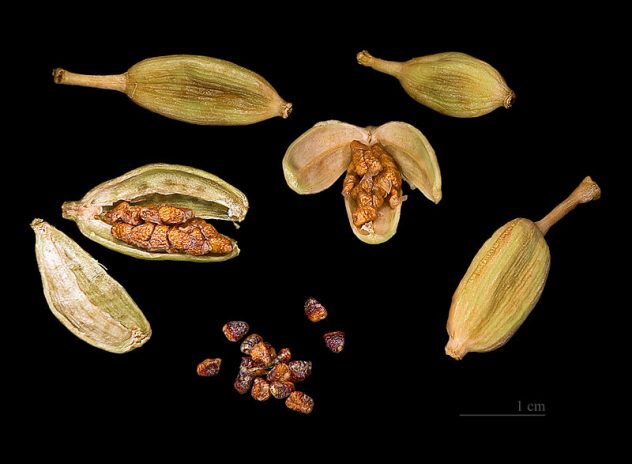 800px-Elettaria_cardamomum_Capsules_and_seeds