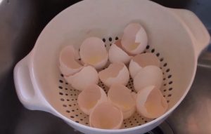 Älä heitä kananmunan kuoria roskiin – ota suuri määrä kalsiumia talteen Munan kuori