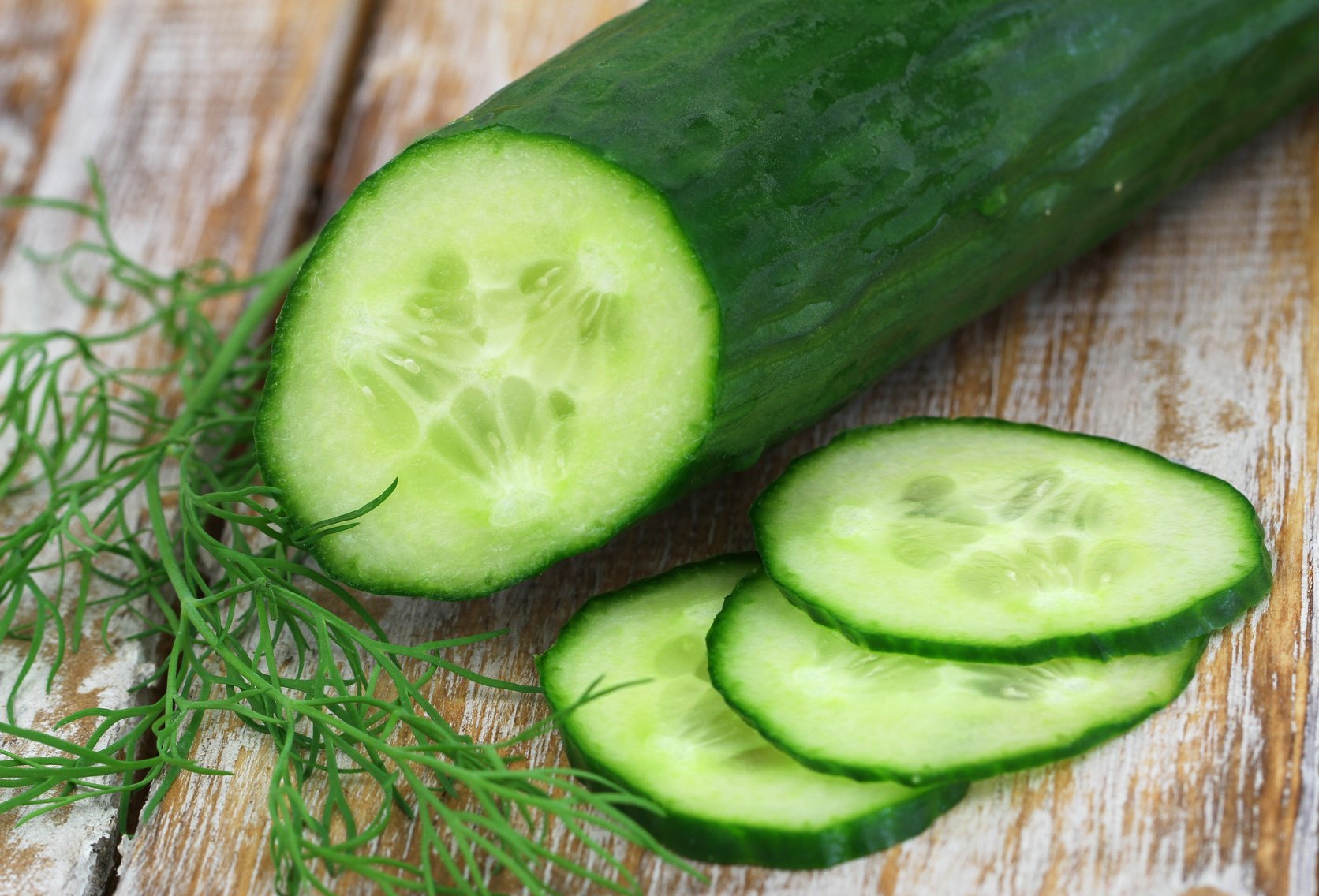 Cucumber and fresh dill, closeup