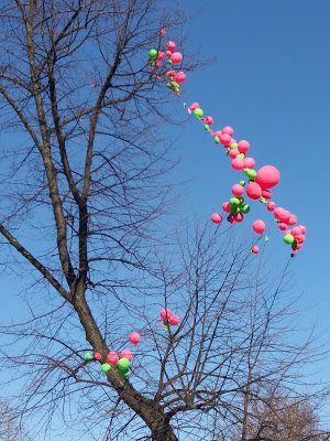 Thumbnail for 126497