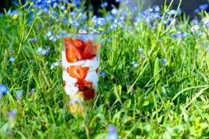 Thumbnail for 126531