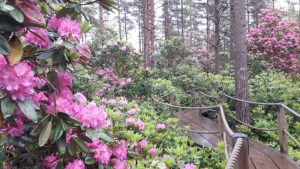 Thumbnail for 126885