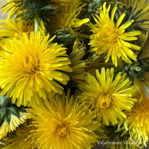 Thumbnail for 127373