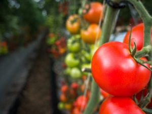 Thumbnail for 128210