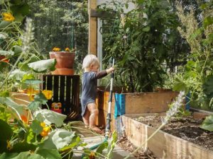 Thumbnail for 129231