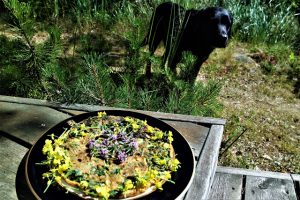 Thumbnail for 129318