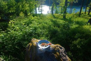 Thumbnail for 129649