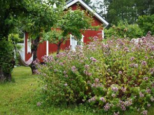 Thumbnail for 129672