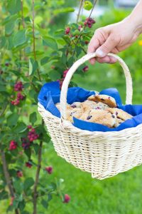 Thumbnail for 129940