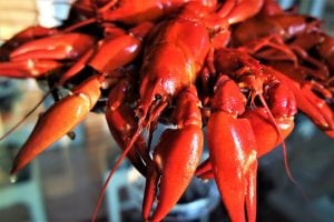 Thumbnail for 130755