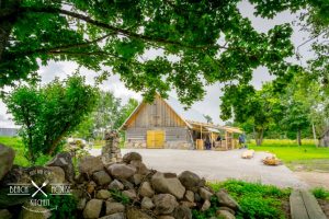 Thumbnail for 131020