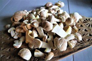 Thumbnail for 131744