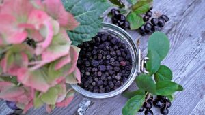 Thumbnail for 131812