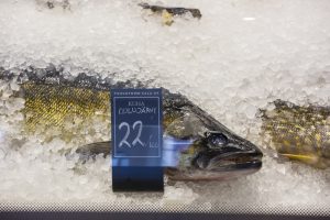 Thumbnail for 140820