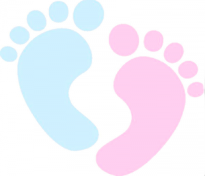 Thumbnail for 148688