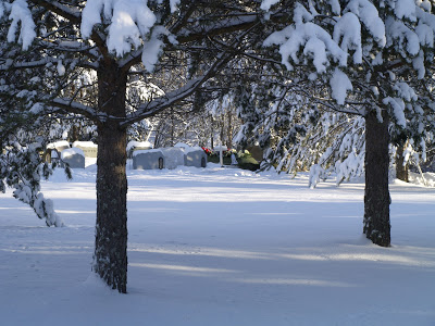 Thumbnail for 134809