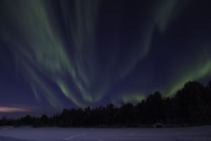 Thumbnail for 136028