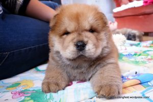 Thumbnail for 137091