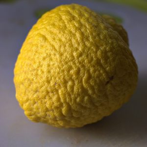 Thumbnail for 137860